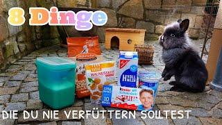 8 Dinge die Kaninchen nicht fressen sollten||Bunnys Diary