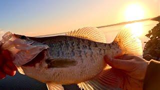 Catch DEEP WINTER CRAPPIE FROM THE BANK! Crappie Fishing Made Easy!