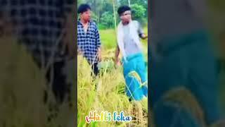 halbi comedy video!! #shorts