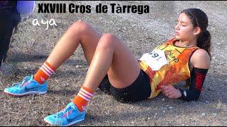 aya XXVIII Cros  de Tàrrega 