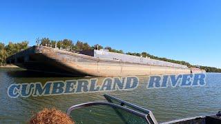 Battling Barges to Fish with a LEGEND! #bluecatfish #flathead #fishingtips