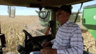 Kansas Farm Family Corn Harvest: America's Heartland