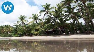 Grenada - Insel in der Karibik, HD (Reisedoku aus der Reihe "Caribbean Moments")
