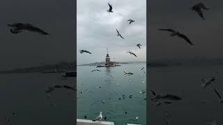 Istanbul | Amazing Places to Visit in Turkey | Best Places to Visit in istanbul