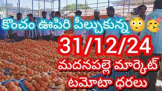 31-12-24 Madanapalle Tomato Market price Today || Today Tomato Market Rate in Madanapalle #today