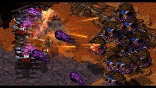 SKY ZERG WEIRDFUN ON TROY - Killer!  (Z) v Light!  (T) - StarCraft  - Brood War 2024