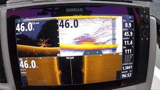 DOWN SCAN! DO YOU REALLY NEED IT? Fish Finder-Down Imaging