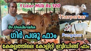 dairy farm kollam|gir cow farm malayalam|കേരളത്തിലെ ഗീർ പശുക്കളുട ഫാം|Gir Cow Farm in kerala |