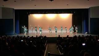 2019 fall dance recital fierce felines dance 2