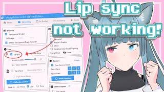 Lip Sync Not Working! Solution! // VMagicMirror