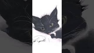 Black Kitty speed draw