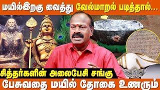 மயிலிறகை வைத்து வேல்மாறல் படித்தால் 100% பலன் கிடைக்கும் | Siddhar Valipadu Murai | Vel Maaral