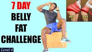 7-DAY BELLY FAT CHALLENGE - Seated Chair Workout No Equipment