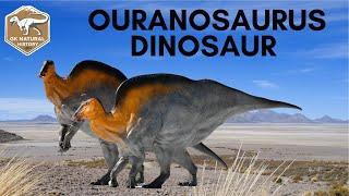 Ouranosaurus Dinosaur