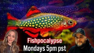 Eclipsing the Fish Tank: A Cosmic Dive into Freshwater Aquariums