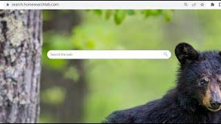 search.homesearchtab.com Redirect | How to Remove search.homesearchtab.com Hijacker For Good
