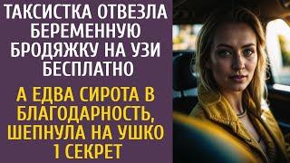 Таксистка отвезла беременную бродяжку на УЗИ бесплатно… А сирота в благодарность сказала 1 секрет…