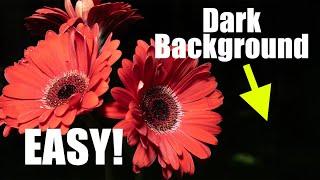 How to Get Dark Backgrounds in Close-Up Photography