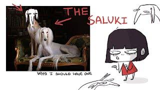 why the saluki is the only respectable dog breed.