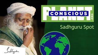 Conscious Planet – Three Billion for One Planet | Sadhguru Spot