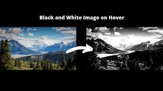 Black and White Image on Hover | HTML and CSS