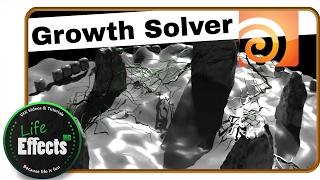 Houdini Growth Solver | Tutorial Teaser