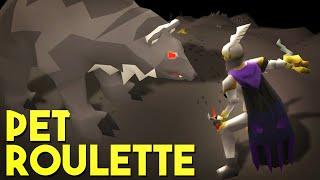 Pet Roulette (#32)