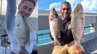 SHE LANDS FIRST FISH in Epic Snapper BLITZ! Bridge Fishing Florida Keys