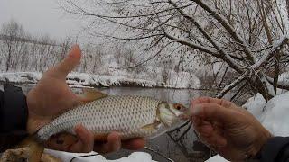 Плотва на СПИННИНГ # Зимний МОРМЫШИНГ # Street Fishing