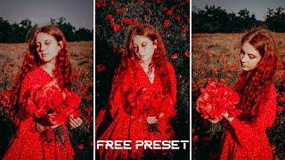 read color presets free download| camera raw free presets download