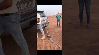 How to recover car struck in desert ?