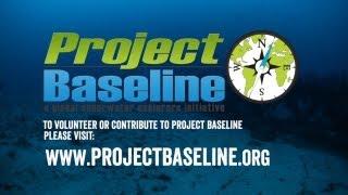 What Is Project Baseline?