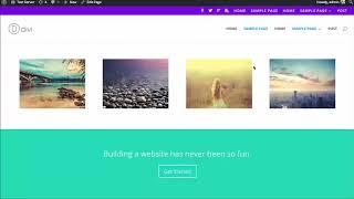 Complete tutorial on how Divi code module setting and theme setting.