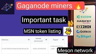 gaga node mining update | meson network airdrop | MSN token listing, Gaga node task