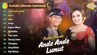 ANDE ANDE LUMUT - INTAN CHACHA FT NIZAR FAHMI | KOMPILASI LANGGAM CAMPURSARI KOPLO TERBARU 2025