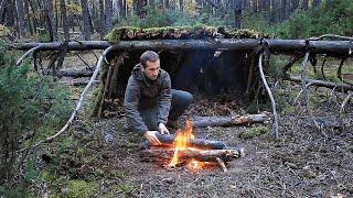 Survival in the Woods with One Knife, Overnight in Natural Bushcraft Shelter, Edible Mushrooms