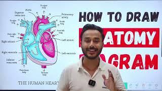 anatomy mbbs 1st year notes | important diagrams of anatomy mbbs | how to draw antomy diagrams