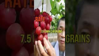 5 World's Expensive Fruits | Duniya ke 5 Sabse Mehnge Phal