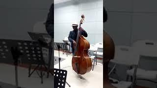 Scating trials - by Bassistovgilberto  ||double bass practice