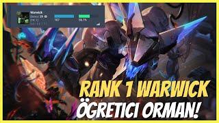 TR Warwick 1.si Detaylı Öğretici Rehberi @neonprice4176