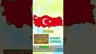 Did you know in Turkey.....