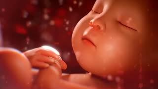 Как в мамином животике   Звуки в утробе матери   Для успокоения и сна малыша