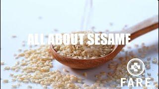 Food Allergy 101 SESAME