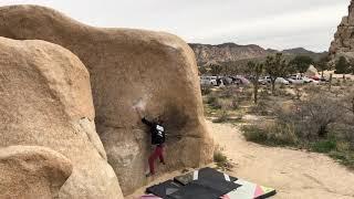 Joshua Tree - Saturday Night Live V4