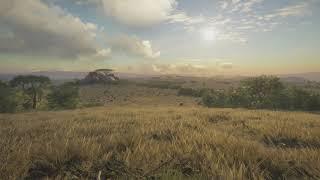 African Savanna  Ambience (5 hours)