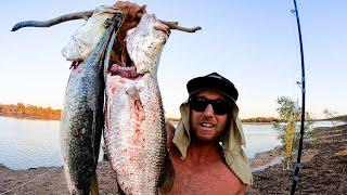 CAMPING REMOTE AUSTRALIA - SHARKS, CROCODILES, BARRAMUNDI. BUSH COOKING!