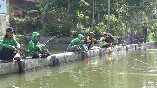 Mancing Borongan Nila Super dan Ikan Mas Gemoy 2.7 Juta