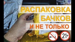 UNBOXING YFTK BY KA V8, YFTK Caiman, и другие полезности