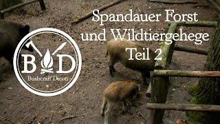 Bushcraft Dicon on Tour - Spandauer Forst Teil 2