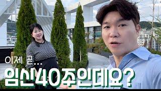 [박수홍 행복해다홍] 이제 곧 임신40주차인데요..? 출산임박한 임산부의 일상 ㅣ자연분만 ㅣ 제왕절개 ㅣ유도분만 ㅣ 임신40주 ㅣ 임산부브이로그 ㅣ